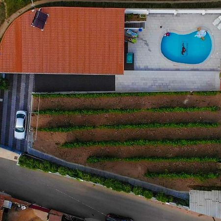 Casinha Das Bonecas - Casa Com Piscina Privada 아베이루 외부 사진